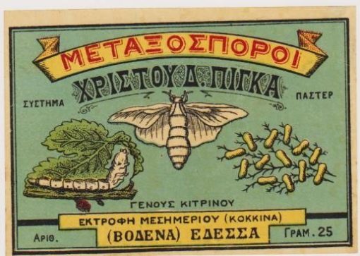 [Έδεσσα,  ετικέτα]: Μεταξόσποροι Χρίστου Δ. Πίγκα, χρωμολιθόγραφη, προπολεμική (;), διαστάσεις 13Χ9