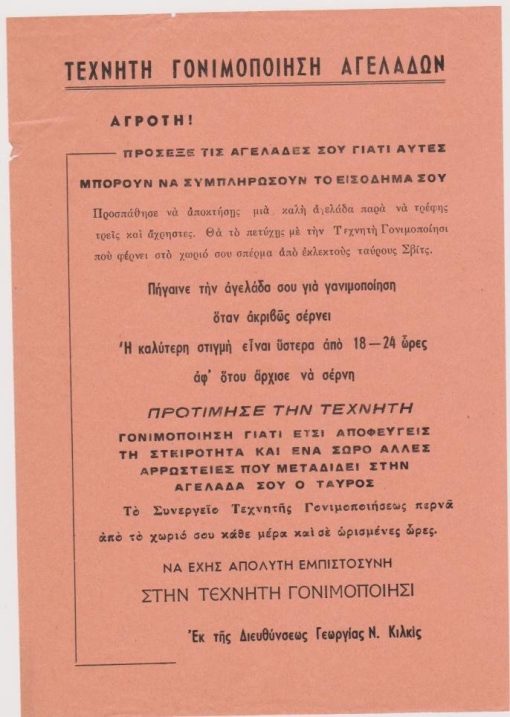 [Κιλκίς]: Διεύθυνσις Γεωργίας Κιλκίς, Τεχνητή γονιμοποίηση αγελάδων, μονόφυλλο, αρχές δεκαετίας του '60 (;), διαστάσεις 17Χ24