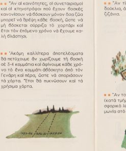 [Κτηνοτροφία]: Υπουργείον Γεωργίας, Πως θα κάνουμε τις βοσκές μας πιό αποδοτικές, τρίπτυχο, διαστάσεις πτυχής 11Χ20, δεκαετία του '50 (;), καλή εικονογράφηση