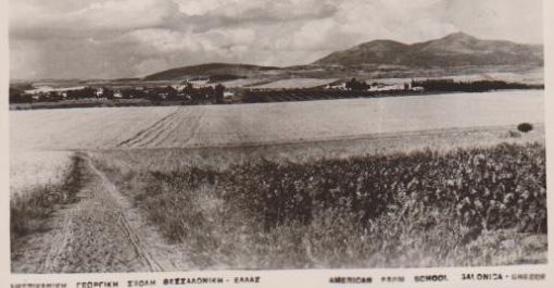 [Θεσσαλονίκη]: Καρτ - ποστάλ "Αμερικανική Γεωργική Σχολή, Θεσσαλονίκη - Ελλάς", ασπρόμαυρη, εκδότης Λυκίδης, αρχές της δεκαετίας του '50, διαστάσεις 14Χ9