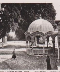 [Άγιον Όρος, κάρτα]: Αιωνόβιοι κυπάρισσοι Ι. Μονής Λαύρας * Άθως, ασπρόμαυρη, γραμμένη