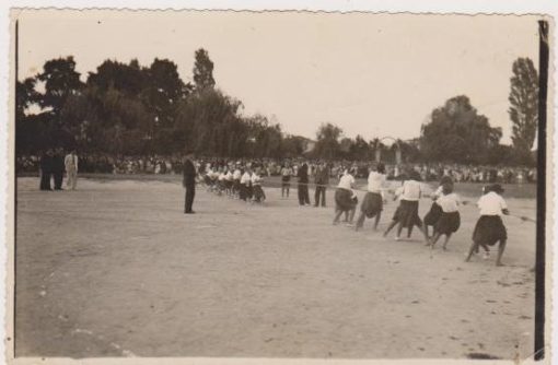 [Κατερίνη]: Φωτογραφία ασπρόμαυρη, στο πίσω μέρος σημειώνεται με μελάνι: " Αον Δημοτικόν Σχολείον Κατερίνης * Κ. Δημόπουλος 1935", διαστάσεις 14Χ9