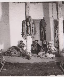 [Καπνά, φωτογραφία]: [Γυναίκες εργάζονται στην επεξεργασία καπνών], ασπρόμαυρη, φωτογράφος: Σωκράτης Ιορδανίδης * Θεσσαλονίκη, διαστάσεις 23Χ17