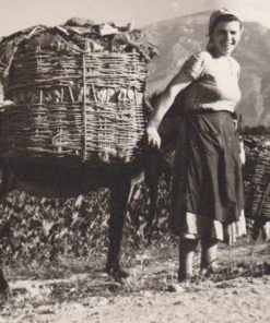 [Καπνά, φωτογραφία]: [Γυναίκα μεταφέρει καπνά], δίπτυχη φωτοκάρτα, ασπρόμαυρη,  διαστάσεις 17Χ11.5