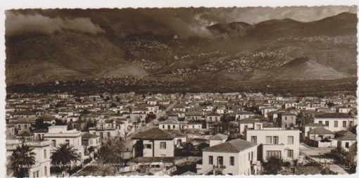[Βόλος, κάρτα]: Πανοραμική άποψις με το Πήλιο, Ν. Στουρνάρας, ασπρόμαυρη, διαστάσεις 19Χ9, αχρησιμοποίητη