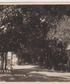 [Τρίπολις, φωτοκάρτα]: Οδός Καλαβρύτων, ασπρόμαυρη, προπολεμική(;), στην ταμπέλα του κτηρίου διαβάζεται: Εξοχικόν Κέντρον ο Παράδεισος * Αθ. Β. Παπαχρόνη, στο πίσω μέρος σημειώνεται με μελάνι: αγαπητούς φίλους Νιγρίτας * Πρότυπον Παιδ. Ακαδημίας
