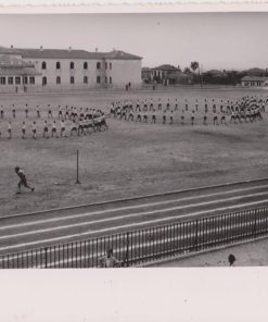 [Δράμα]: Φωτογραφία ασπρόμαυρη [ομάδες μαθητών σε 3 κύκλους], προπολεμική, πιθανόν από εορταστικές εκδηλώσεις των Σχολείων της Μακεδονίας και της Θράκης στο στάδιο της Δράμας, φωτο ΣΕΡΒΑΝΗ - ΜΠΑΝΑ, Δράμα, διαστάσεις 23Χ17