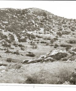 [Ναός του Απόλλωνα στη Φιγαλεία]. "Αναλήμματα για μικρές καλλιέργειες στις Βάσσες παρά το ναό - μπροστά το ημιονικό δρομάκι προς το ναό (από τη Φιγαλεία)", διαστάσεις 18Χ13cm