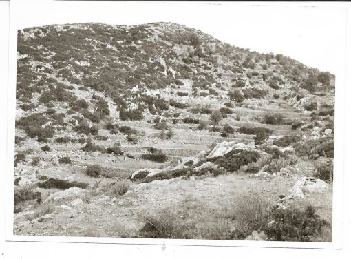 [Ναός του Απόλλωνα στη Φιγαλεία]. "Αναλήμματα για μικρές καλλιέργειες στις Βάσσες παρά το ναό - μπροστά το ημιονικό δρομάκι προς το ναό (από τη Φιγαλεία)", διαστάσεις 18Χ13cm