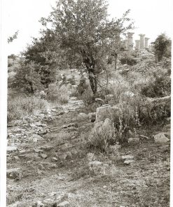 [Ναός του Απόλλωνα στη Φιγαλεία]. "Πλησιάζοντας στο ναό, στο τέρμα του μονοπατιού Φιγαλείας - ναού", διαστάσεις 13Χ18cm