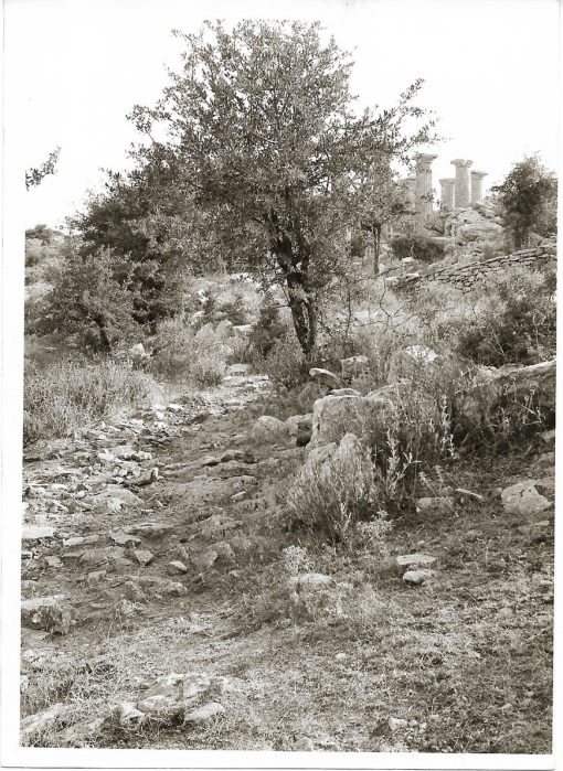 [Ναός του Απόλλωνα στη Φιγαλεία]. "Πλησιάζοντας στο ναό, στο τέρμα του μονοπατιού Φιγαλείας - ναού", διαστάσεις 13Χ18cm