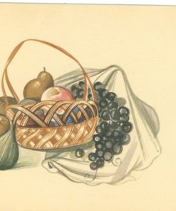 [Τάσσος, Α. - Κάρτα]: Νεκρά φύση, printed by Aspioti - Elka 206, έγχρωμη, διαστάσεις 19Χ12