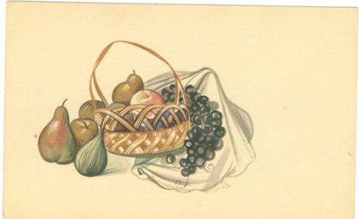 [Τάσσος, Α. - Κάρτα]: Νεκρά φύση, printed by Aspioti - Elka 206, έγχρωμη, διαστάσεις 19Χ12