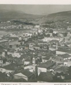 [Ναύπλιον]: Κάρτα ασπρόμαυρη - Άποψις προς Πρόνοιαν 1559.4. Κατάστημα Μιχ. Λάμπρου