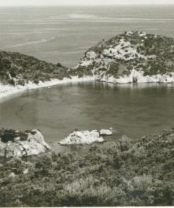 [Σκόπελος]: Ασπρόμαυρη κάρτα, Σκόπελος - Στάφυλος, διαστάσεις 14,5Χ11, ταχυδρομημένη