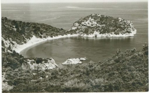 [Σκόπελος]: Ασπρόμαυρη κάρτα, Σκόπελος - Στάφυλος, διαστάσεις 14,5Χ11, ταχυδρομημένη