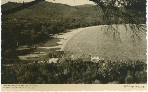 [Σκιάθος, κάρτα]: Από τη γραφική Σκιάθο - Κουκουναριές, "Στουρνάρας", ασπρόμαυρη, αχρησιμοποίητη