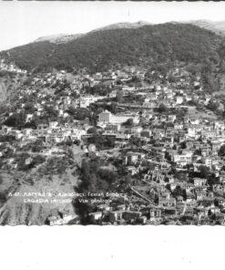 [Αρκαδία]. Λαγκάδια (Αρκαδίας) - Γενική άποψις